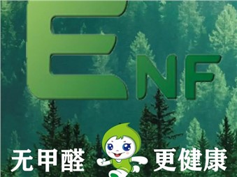 環(huán)保、健康、耐用、美觀的寰宇ENF級板材是您值得信賴的家居材料