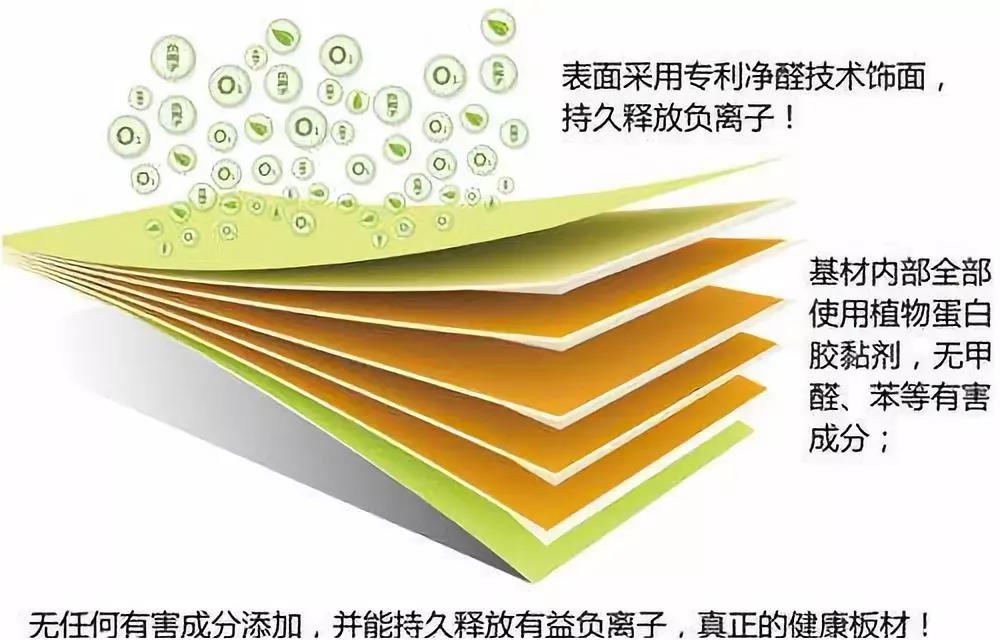 濃情端午,粽葉飄香 環(huán)保生活，健康你我